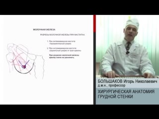 И большаков грудная полость