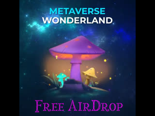 Видео от metaverse wonderland