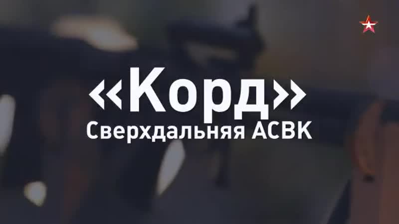 Крупнокалиберная снайперская винтоа