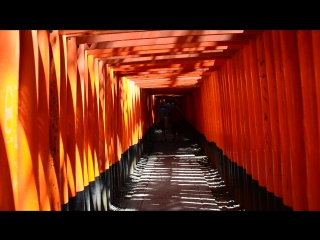 Fushimi inari аллея тысячи ворот