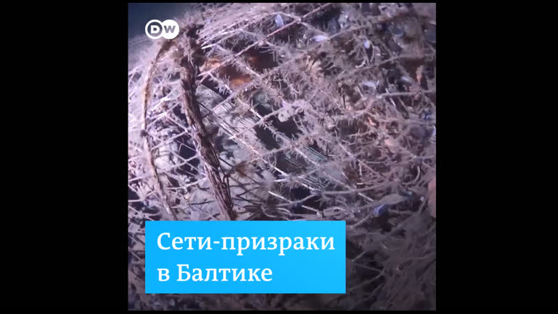 Пластик в балтийском море