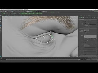 Tom newbury «xgen hair for characters» (part 8/11)