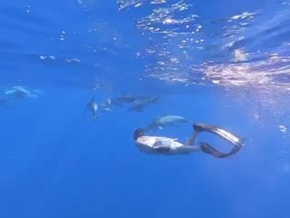 The first day, a lone bottlenose dolphin was playing at the bow of our boat we slid into the shallow water for a look and were