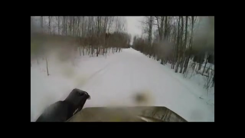Мужик на снегоходе сбил оленя
