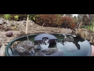 Установил камеру на фонтане во дворе