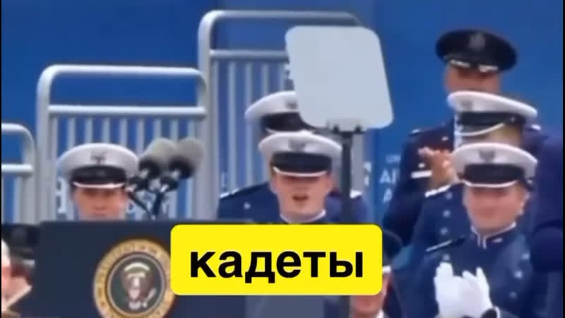 Как перфокартного деда вели