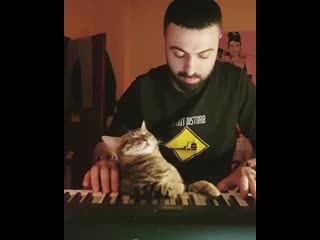 Sarper duman & cat