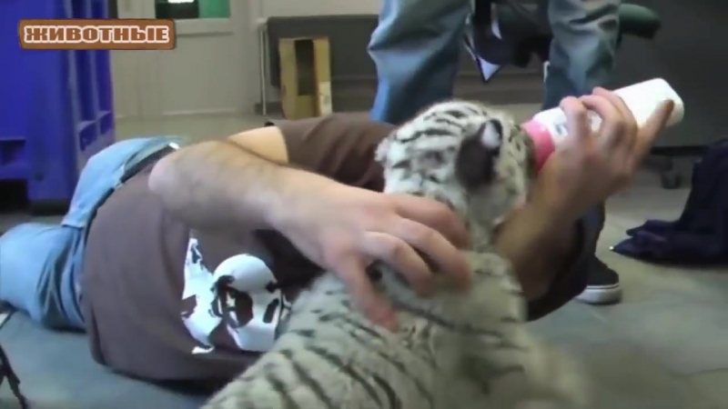 Маленькие молодые милые секс видео подборка [new hd] mp4