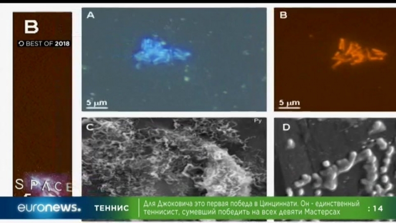 1300мск 1200цев