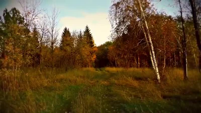 ◈ русь первозданная ◈ красивая музыка для души 432 гц ◈ русские гусли