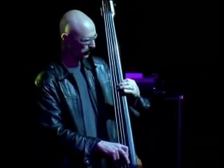 Goatika and tony levin tomy