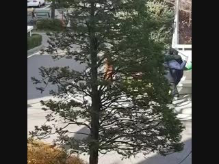 Clean with passion for now (171118)