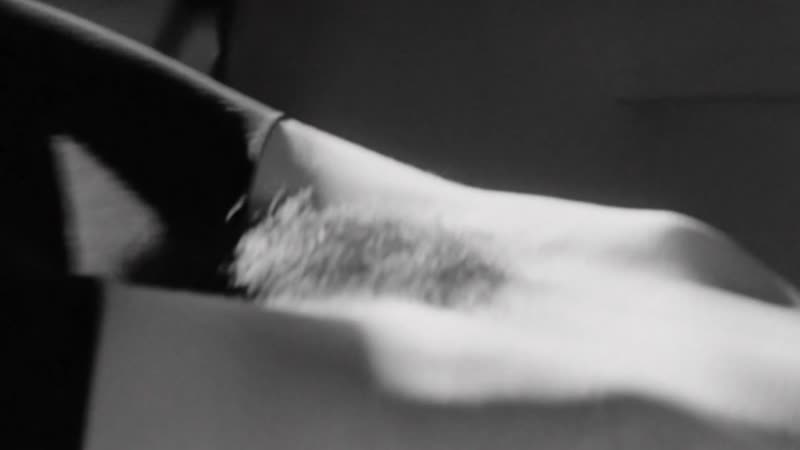 Фернанда торрес чужая земля / fernanda torres terra estrangeira ( 1996 )