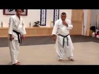 Okinawan shorinjiryu whipping technique