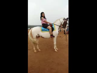 Horse ride stant (mahabaleshwar)