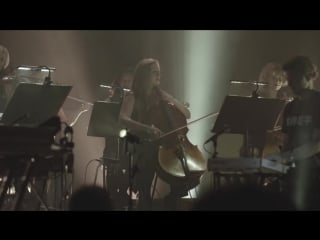 Sasha xpander (re fracted live at the barbican)