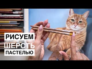 Рыжая кошка на кресле пастелью