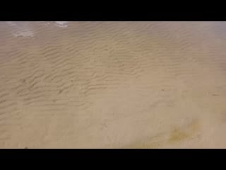 Video 20200811 092400 mp4