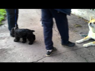 Поймали денёк с хорошей погодой!