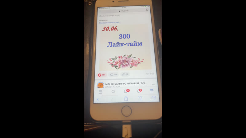 Live mishki gammi розыгрыши / giveaway