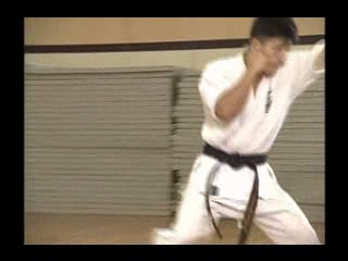 Daido juku karate instructional (kyokushin karate mma fusion) vol 1