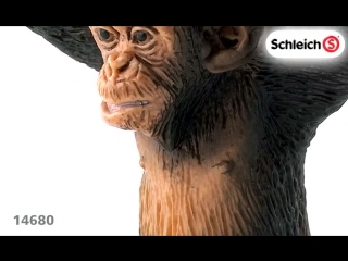 Шимпанзе, детеныш schleich 14680