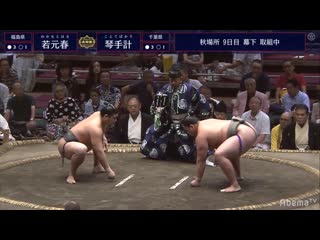 Wakamotoharu vs kototebakari aki 2019, makushita day 9