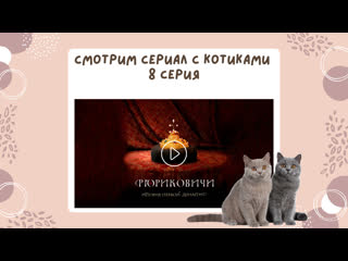 Сериал "рюриковичи" от котиков серия 8