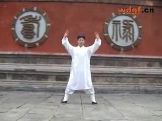 China tai chi wudang kungfu 28 form wudang taiji 武当太极28式