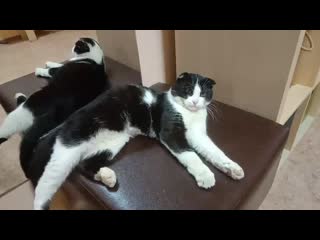 Video 20191120 113605 mp4