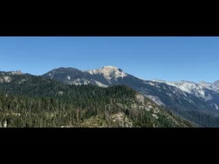 Sequoia national park
