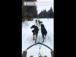 Is alex #alexhoghandersen #ivar #vikings