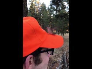 Hummingbird thought a man’s orange hat was a flower