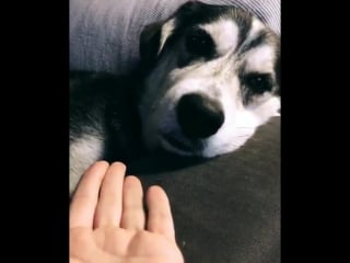 Instagram post by seda turkmen