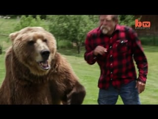 Wrestling a grizzly bear in my garden