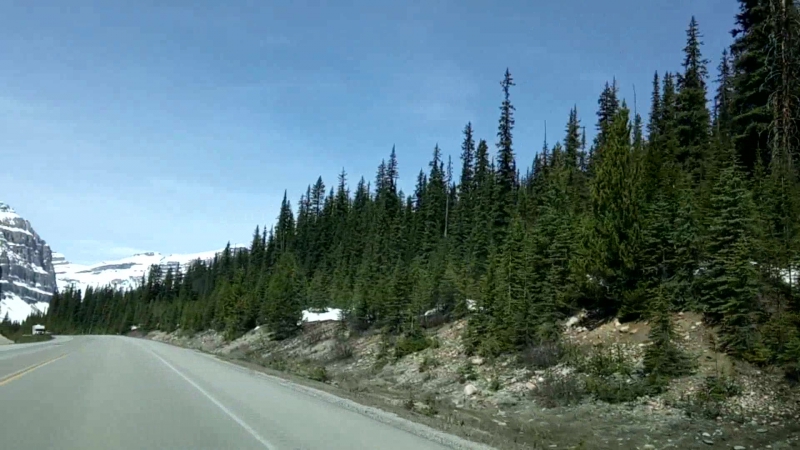 Little yurt on the prairie