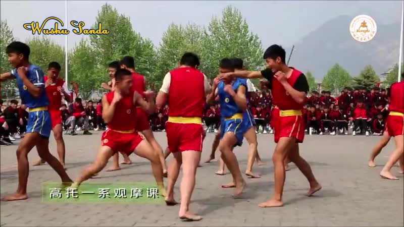 Занимайтесь ушу саньда