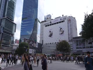 Одна минута из жизни перекрёстка сибуя/one minute from the life of shibuya crossing