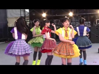 Team syachihoko chérie! [ sakura fes live ver ] tv size