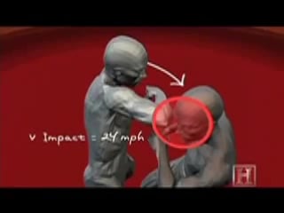 Double elbow slash / ufcall ©