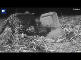 Вернули мамке