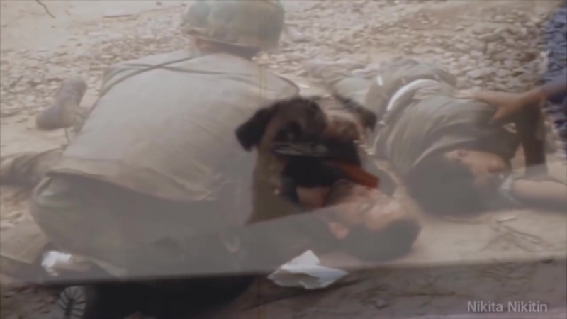 Flashback porn video – Dog has vietnam flashback