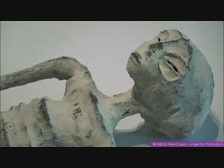 Гуманоидная рептилия "жозефина"