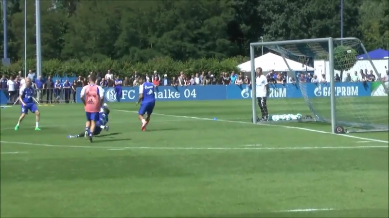 Гол коноплянки на тренирое «шальке»