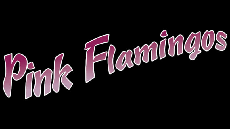 Pink flamingos / розовые фламинго (1972) оригинал с субтитрами [full hd]