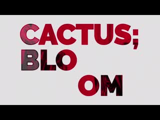 ; 선인 장; 피 다 mini exhibition cafe event 200530 200602 in cafe hobin ace jun happyjunday 빛나는