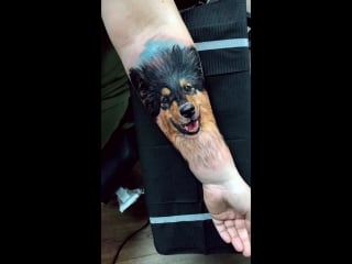 Caroline friedmann darling pet