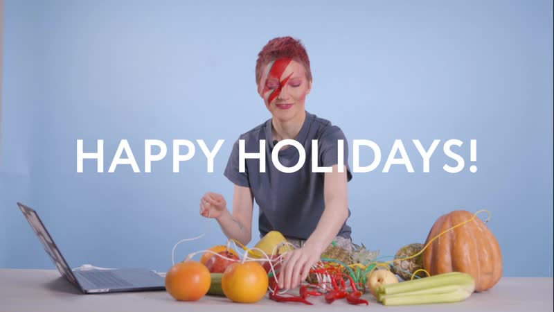 Playtronica holidays