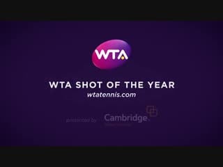 Simona halep | shot of the year
