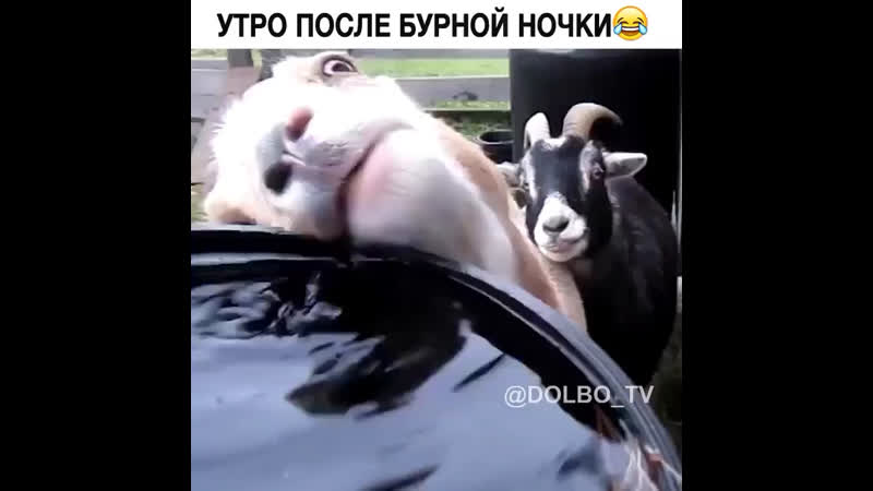 Утро после бурной ночки